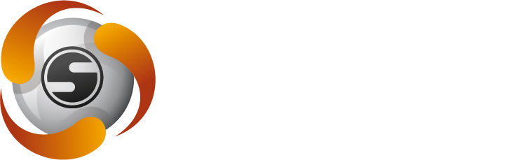 Spins Network